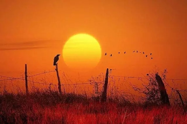 中庭人的一天！